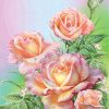 Pink Rose Masterpiece Paint By Numbers