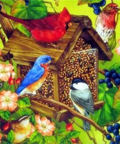 Colorful Birdhouses for Birds Paint By Numbers