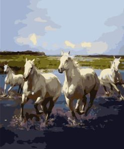 Wild Stallions In Herd Paint By Numbers