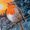 European Robin Paint By Numbers