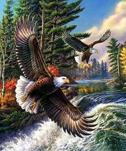 Wild Eagles in Nature Paint By Numbers
