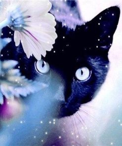 Black Cat Among Flowers Paint By Numbers