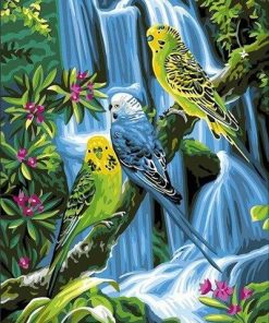 Bird-Themed Jungle Paint By Numbers