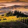 Tuscany Fields Landscape View Paint By Numbers
