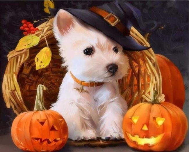 Spooky Dog Halloween Paint By Numbers