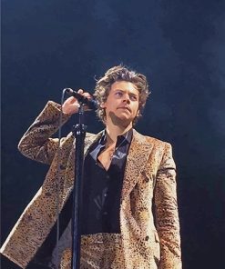 Harry Styles Iconic Paint By Numbers