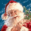 Joyful Santa Claus Paint By Numbers