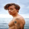 Harry Styles Tattoo Art Paint By Numbers