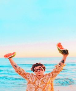 Harry Styles Pop Star Paint By Numbers