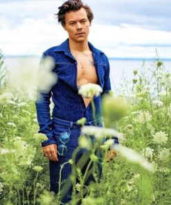 Harry Styles Singer Paint By Numbers