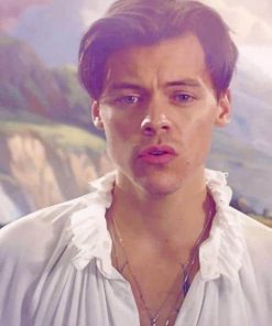 Harry Styles Musician Paint By Numbers