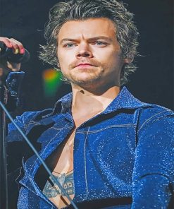 Harry Styles Pop Star Paint By Numbers