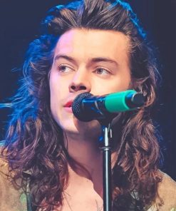 Harry Styles Music Paint By Numbers