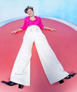 Harry Styles Pink Outfit Paint By Numbers