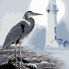 Seabirds Lighthouse Scene Paint By Numbers