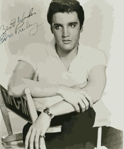 Elvis Presley Black and White Paint By Numbers