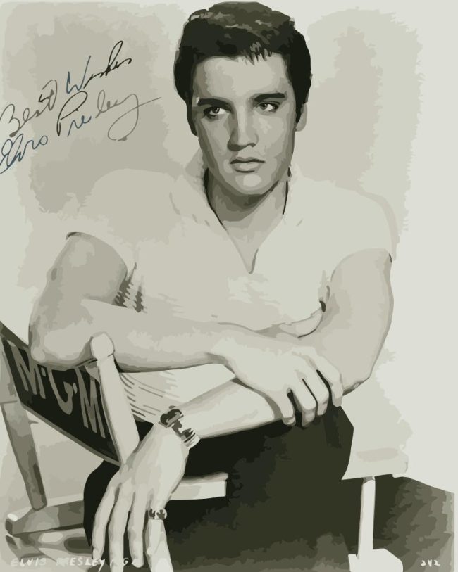 Elvis Presley Black and White Paint By Numbers