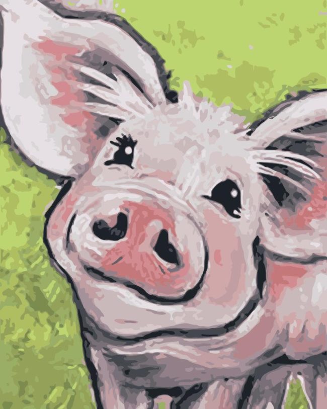 Pig Smiling Paint By Numbers