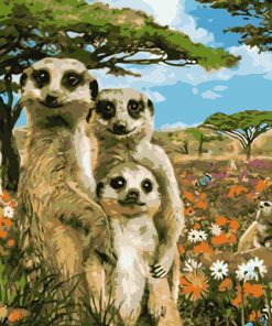 Meerkat Family Wildlife Paint By Numbers