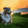 Australian Shepherd Dog Paint By Numbers