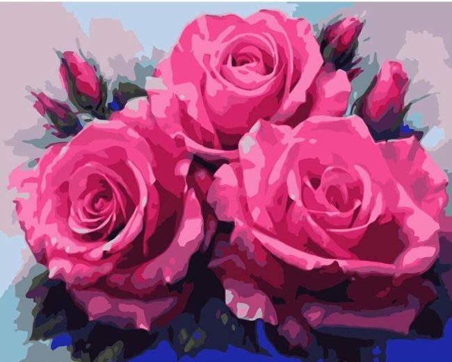 Pink Roses Floral Art Paint By Numbers