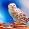 Hedwig Owl from Harry Potter Paint By Numbers
