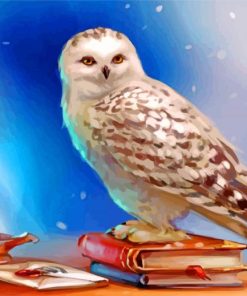 Hedwig Owl from Harry Potter Paint By Numbers