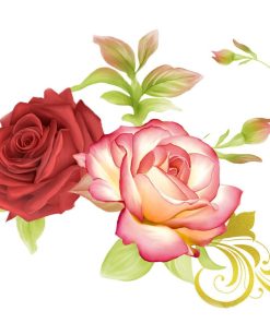 Red Heirloom Roses Paint By Numbers