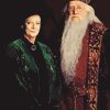 Minerva Mcgonagall Hogwarts Paint By Numbers
