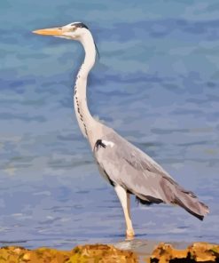 Grey Heron Paint By Numbers