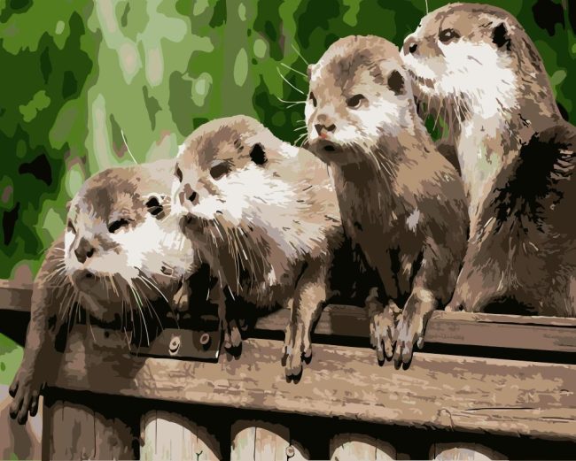 Adorable Otters Animals Paint By Numbers