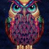 Hipster Owl Rainbow Birds Paint By Numbers
