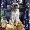 Cat Hocus Pocus Animals Paint By Numbers