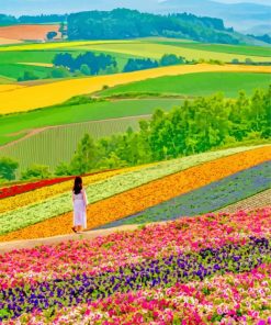 Hokkaido Gardens Japan Paint By Numbers