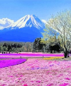 Hokkaido Garden Scenes Paint By Numbers
