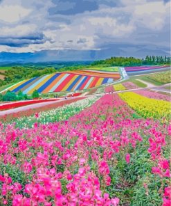 Explore Hokkaido Gardens Paint By Numbers