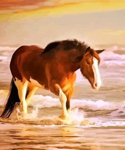 Horse and Sea Paint By Numbers