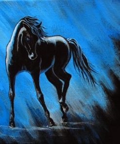 Midnight Blue Arabian Horse Paint By Numbers