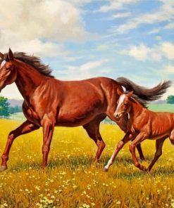 Arabian Horses in Meadow Paint By Numbers