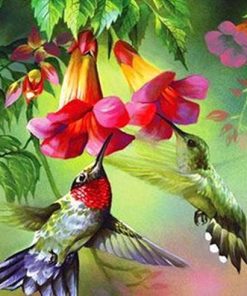 Hummingbird Birds Paint By Numbers