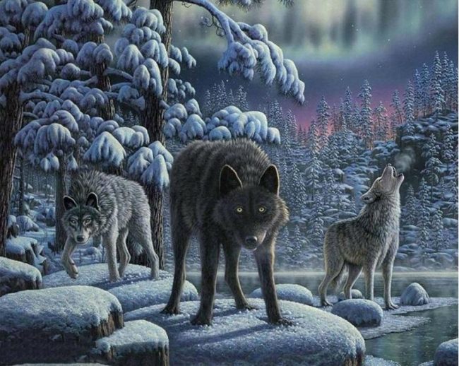 Majestic Wolf Hunting Paint By Numbers