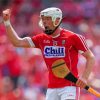 Famous Irish Hurler Luke Meade Paint By Numbers