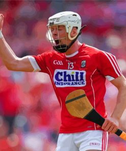 Famous Irish Hurler Luke Meade Paint By Numbers