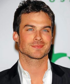 Ian Somerhalder Actor Tribute Paint By Numbers