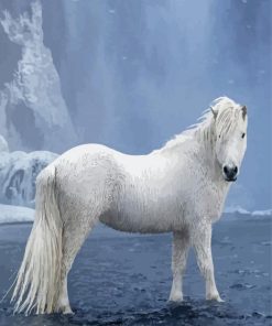 Icelandic White Horse Paint By Numbers