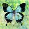 Imperial Blue Butterfly Animal Paint By Numbers