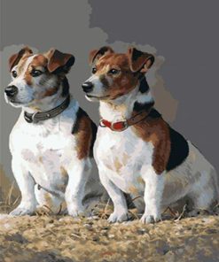 Jack Russell Puppy Paint By Numbers