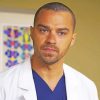 Jackson Stars in Greys Anatomy Paint By Numbers