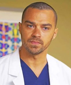 Jackson Stars in Greys Anatomy Paint By Numbers