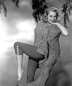 Janet Leigh Classic Style Paint By Numbers